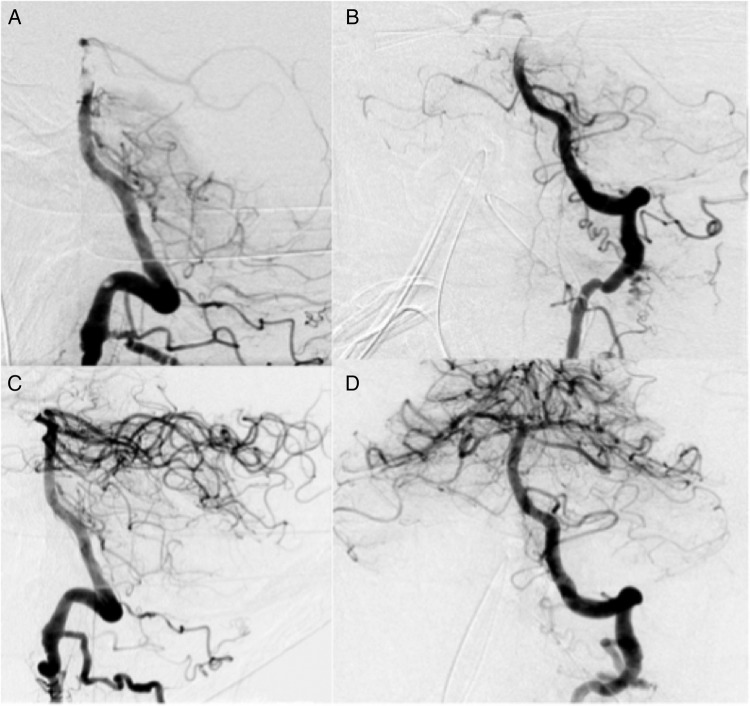 Figure 3