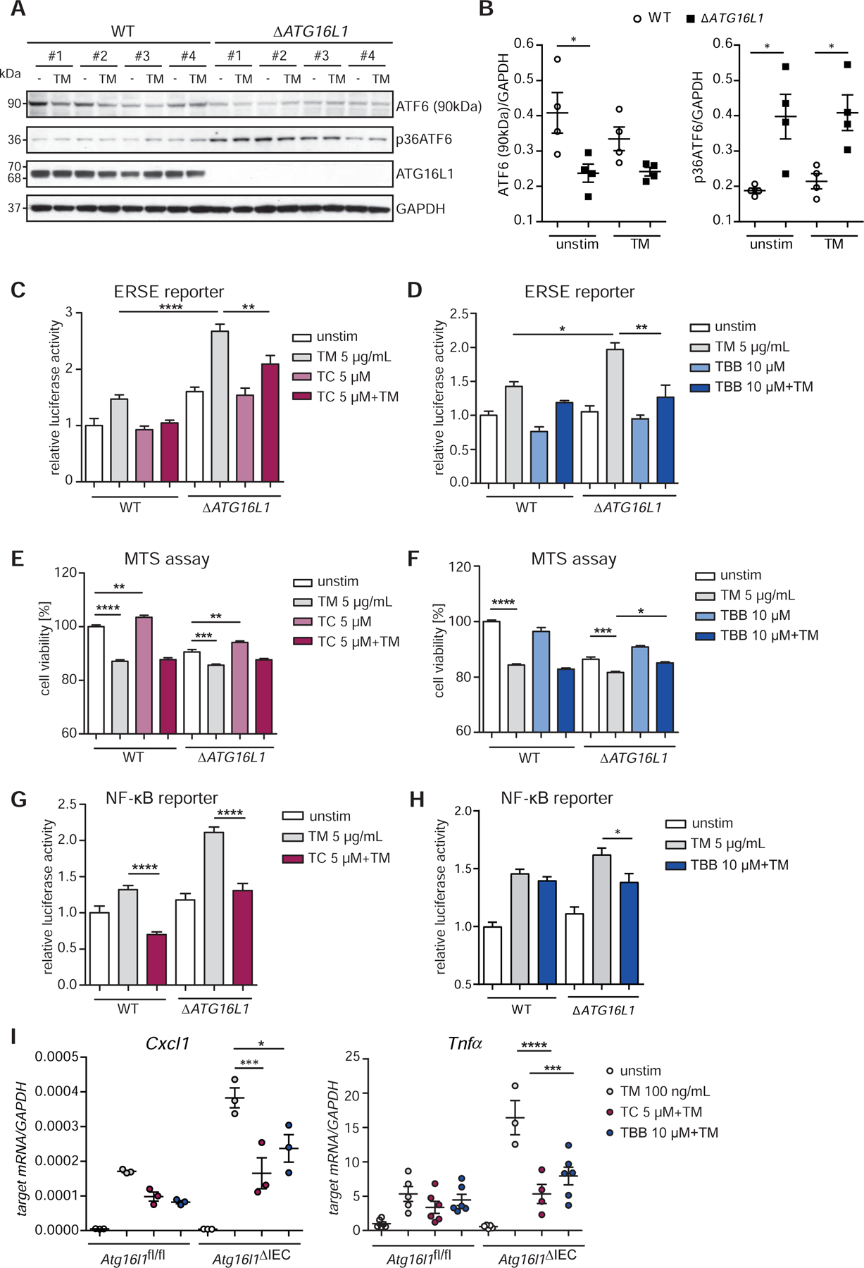 Figure 4: