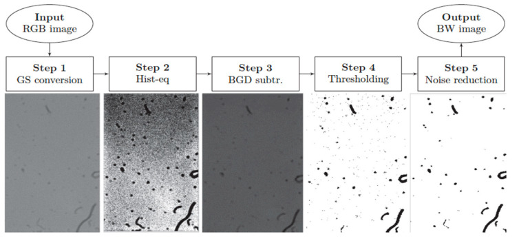 Figure 13