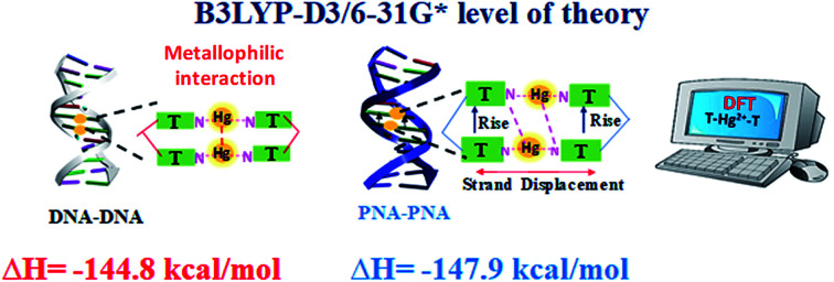graphic file with name d0ra07526d-ga.jpg