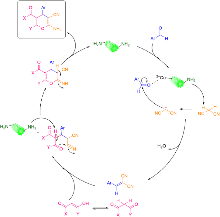 Scheme 6