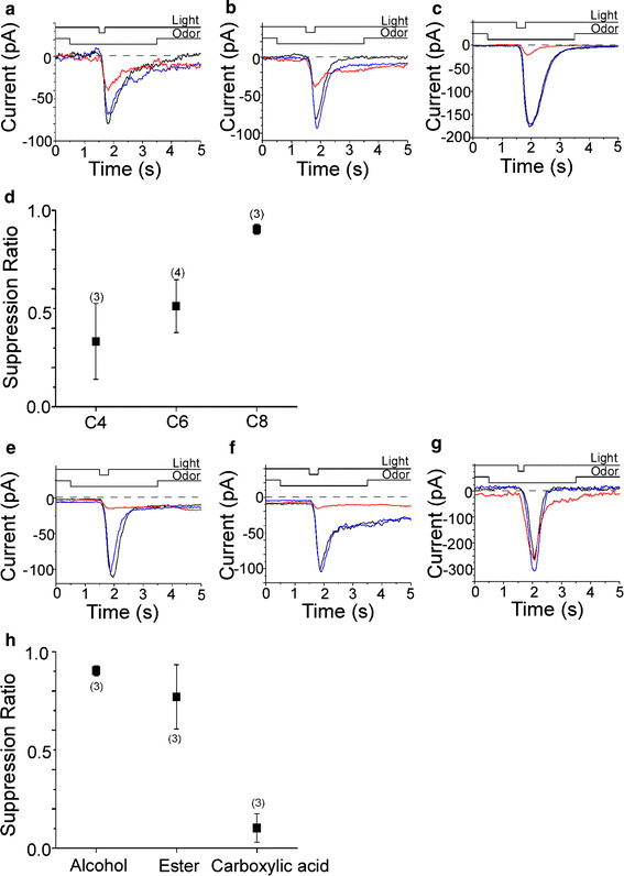 Fig. 7