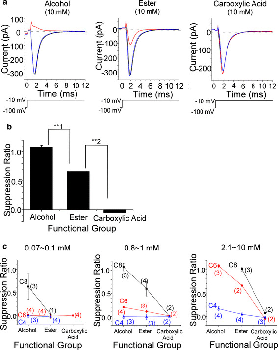 Fig. 6