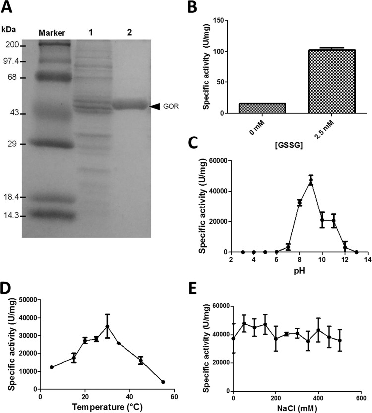 FIG 2