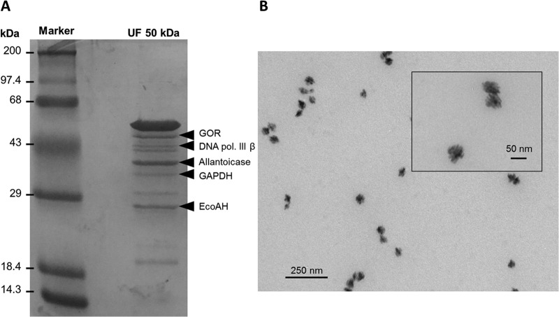 FIG 1