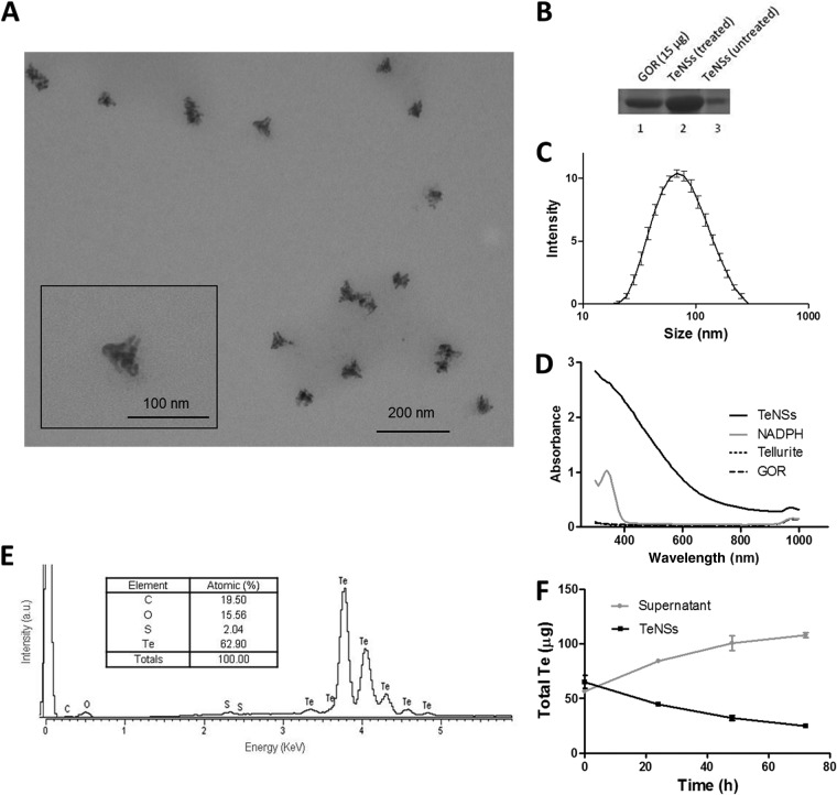 FIG 3