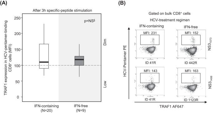 FIG 6