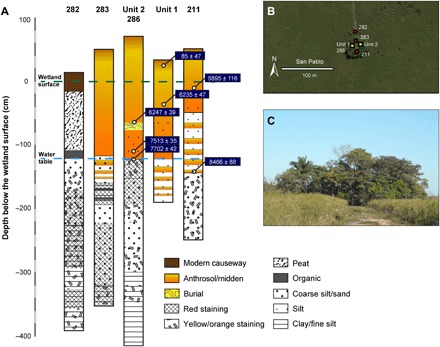 Fig. 3