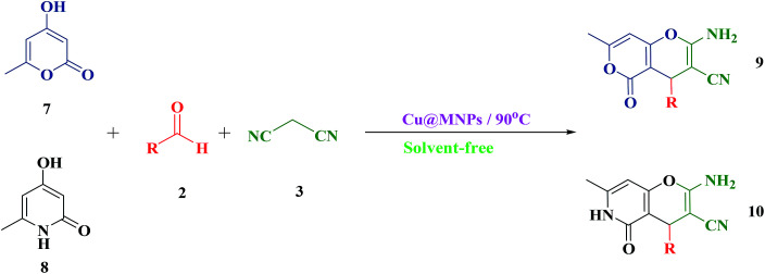 Scheme 5