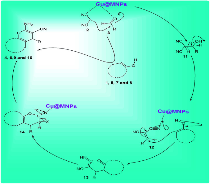 Scheme 6