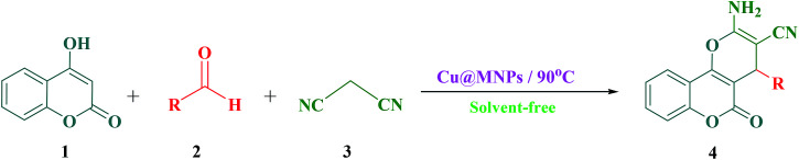 Scheme 3