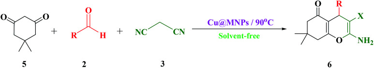 Scheme 4