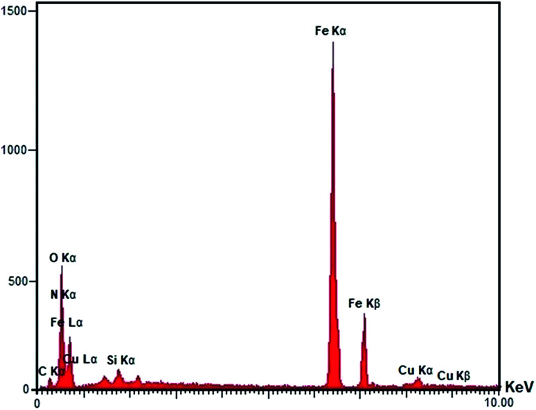 Fig. 5