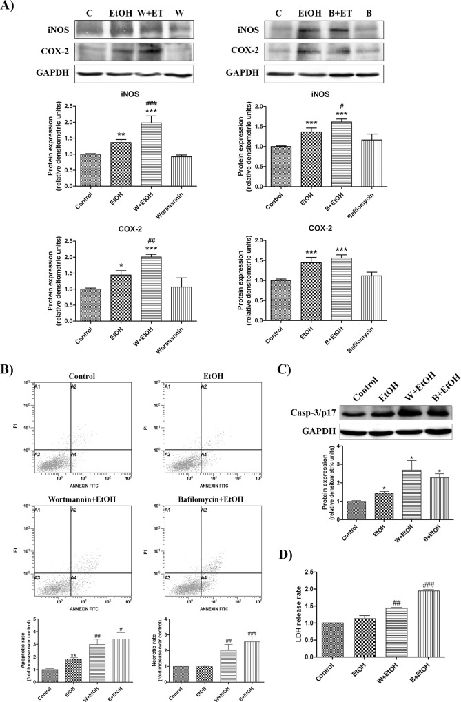 Fig 6