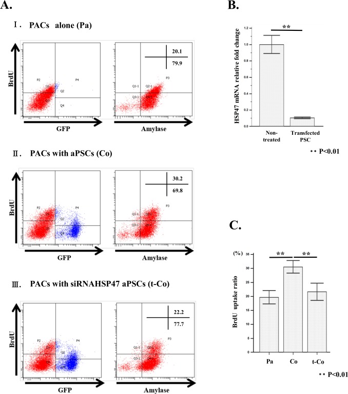 Fig 11