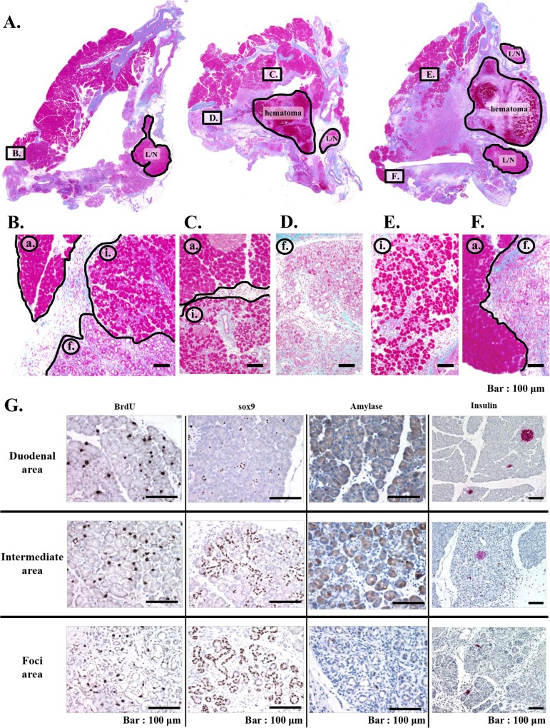 Fig 10