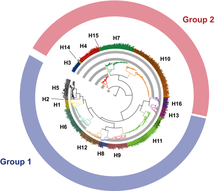 FIGURE 1