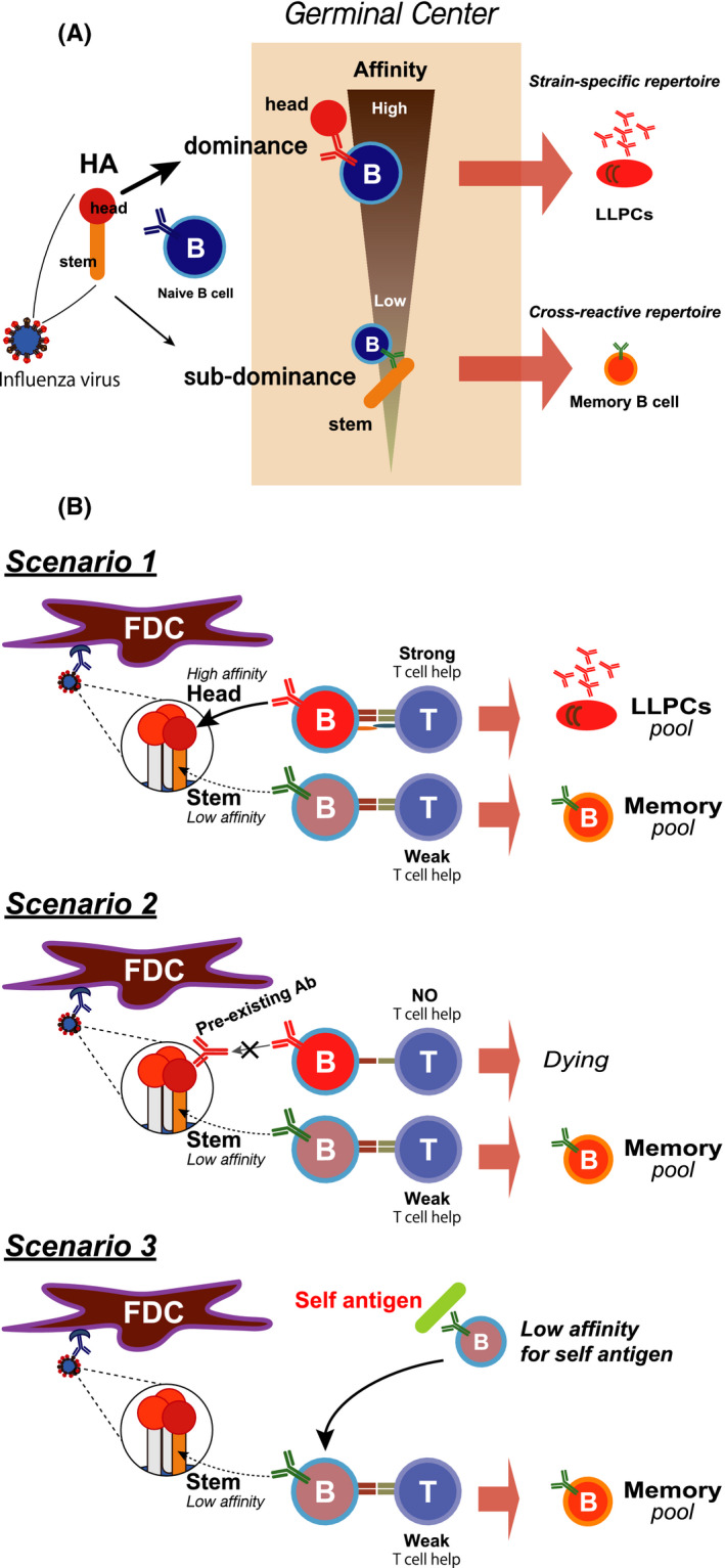 FIGURE 3