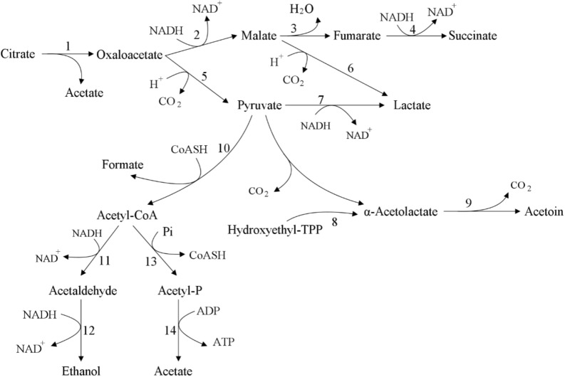 FIGURE 4