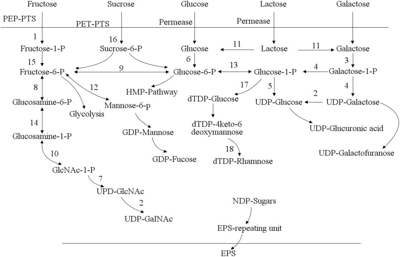 FIGURE 3