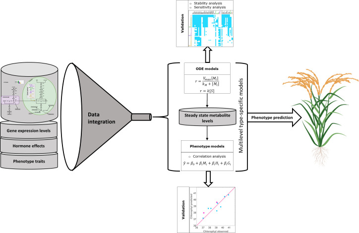 Figure 4