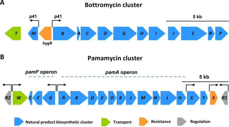 Fig. 2