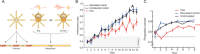 Figure 44