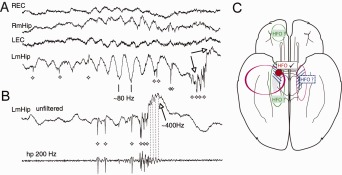 Figure 51