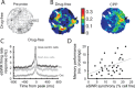 Figure 40