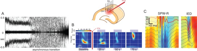 Figure 52