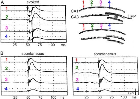 Figure 36