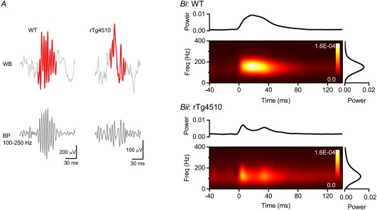 Figure 53