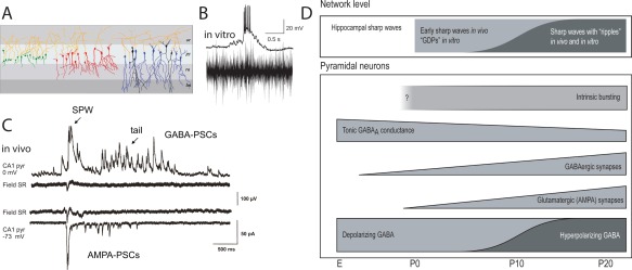 Figure 29