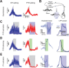 Figure 24