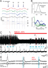 Figure 27