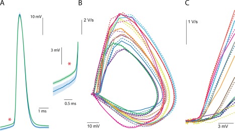 Figure 26