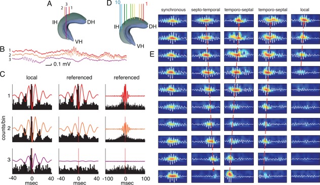 Figure 15