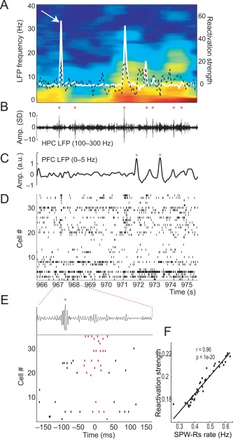 Figure 41