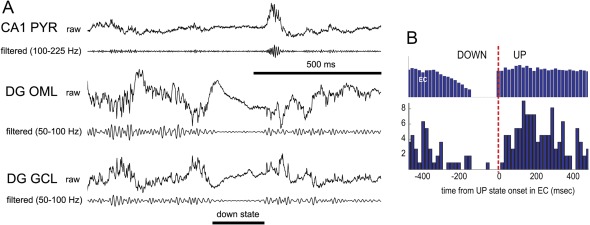 Figure 17