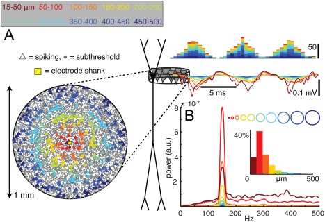 Figure 31