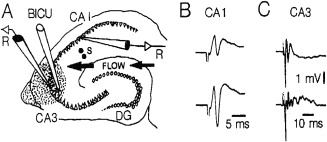 Figure 34