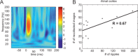 Figure 37