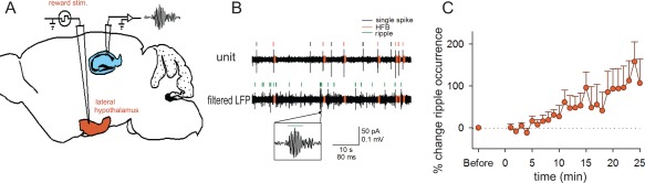 Figure 35