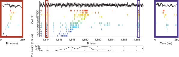 Figure 43