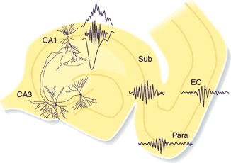 Figure 19