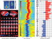 Figure 21