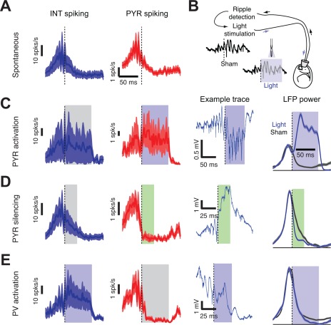 Figure 24