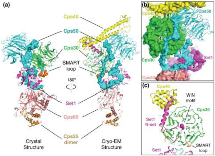 Figure 3.