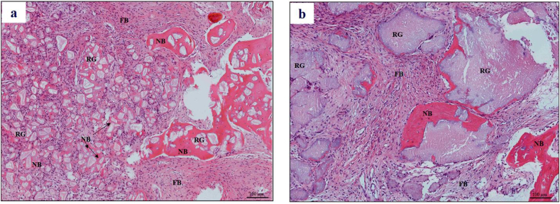 Figure 5