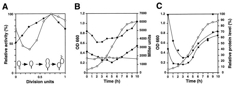 FIG. 7